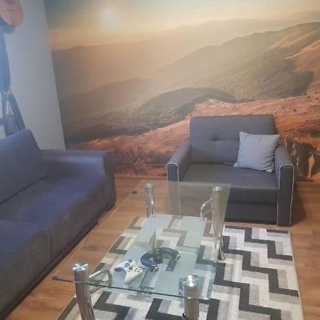 Apartament Folkowy Wujek Pod Gromadzyniem اوسترزوكي دولن المظهر الخارجي الصورة